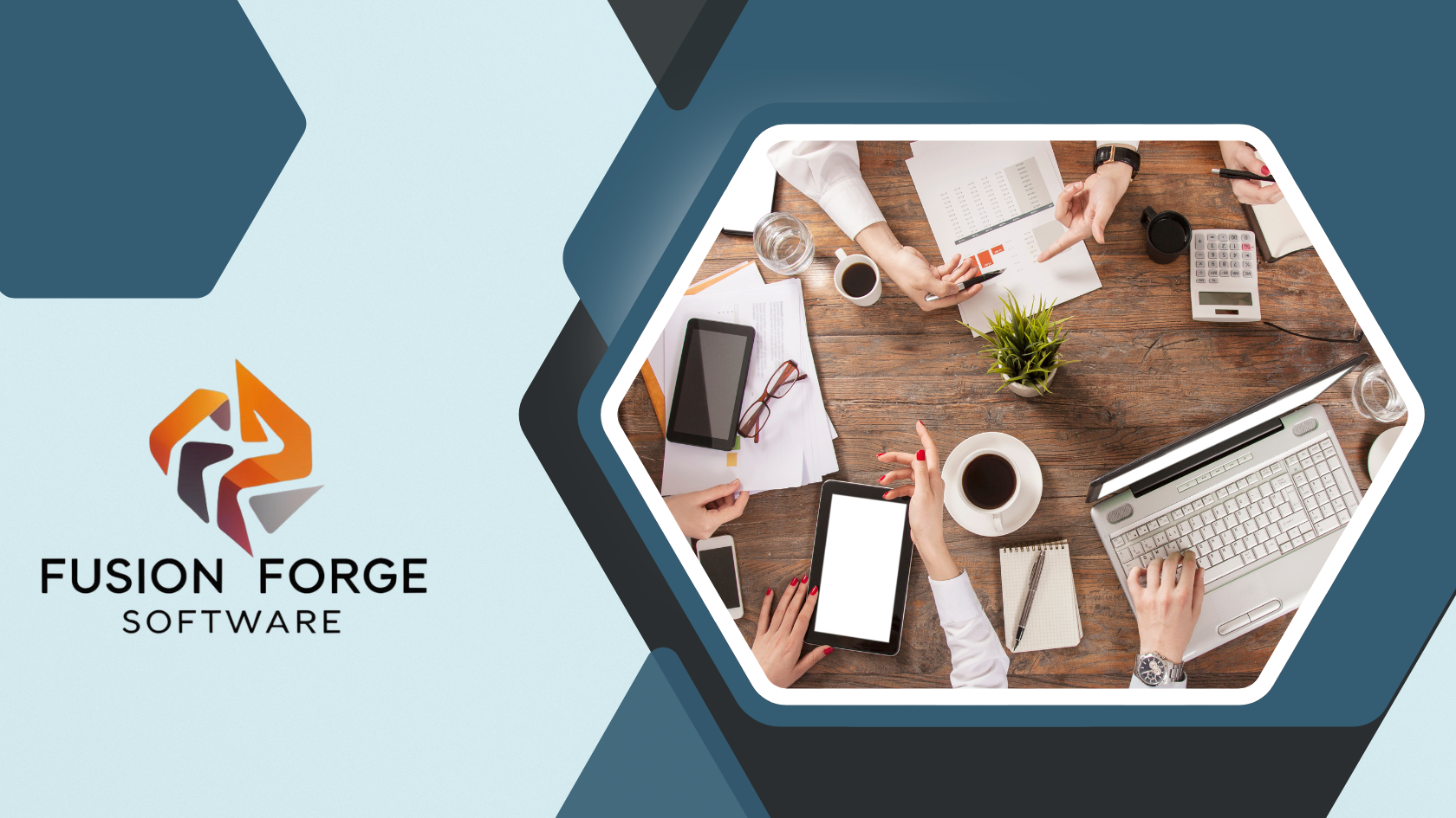 About Fusion Forge Software